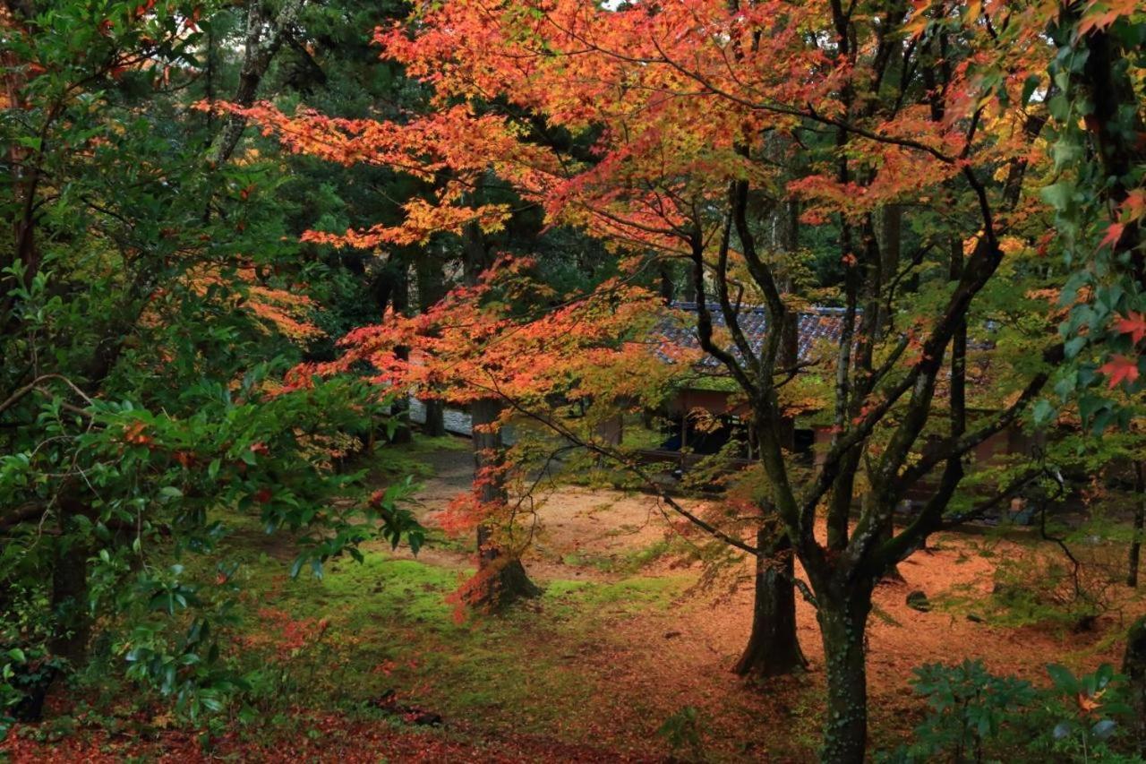 Kanazawa Machiya Inn Hana מראה חיצוני תמונה